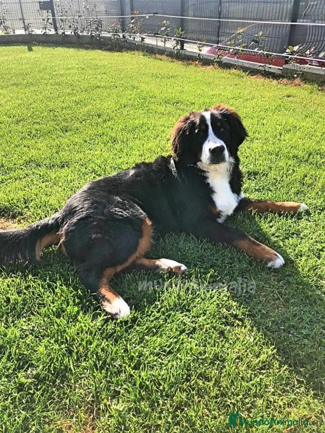 Imagen de galería {{count}}