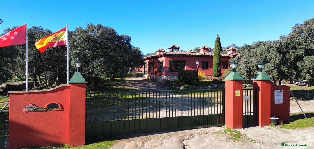 Imagen de galería {{count}}