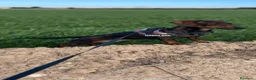 Teckel perros en venta: Teckel en Zaragoza - Anuncio 6