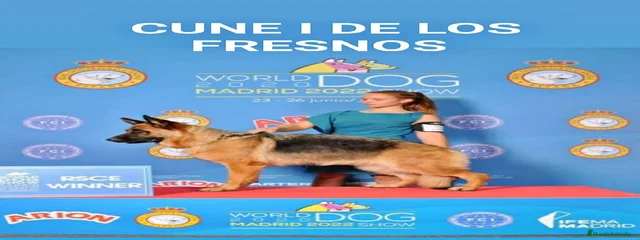 Cune de los Fresnos, campeona del mundo