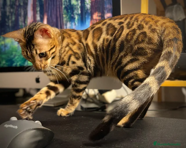 Imagen de galería {{count}}