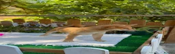 Shiba Inu perros en venta: Shiba Inu espectaculares Hembras Preciosos  - Anuncio 5