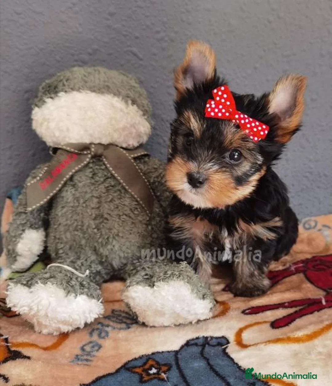 Imagen de galería {{count}}