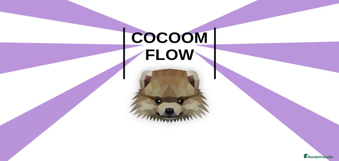 Imagen de galería {{count}}