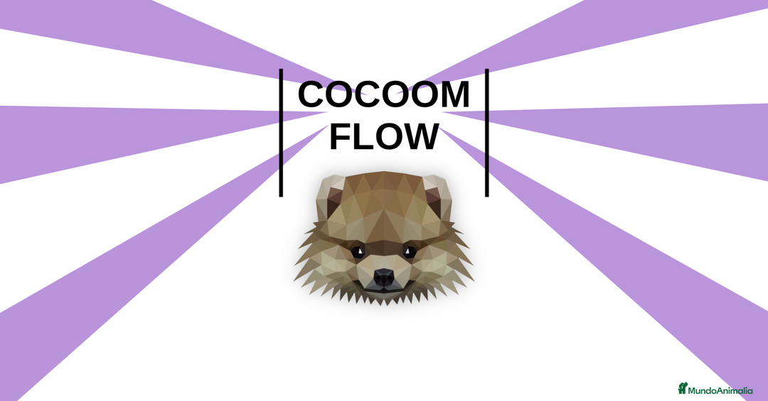 Imagen de galería {{count}}