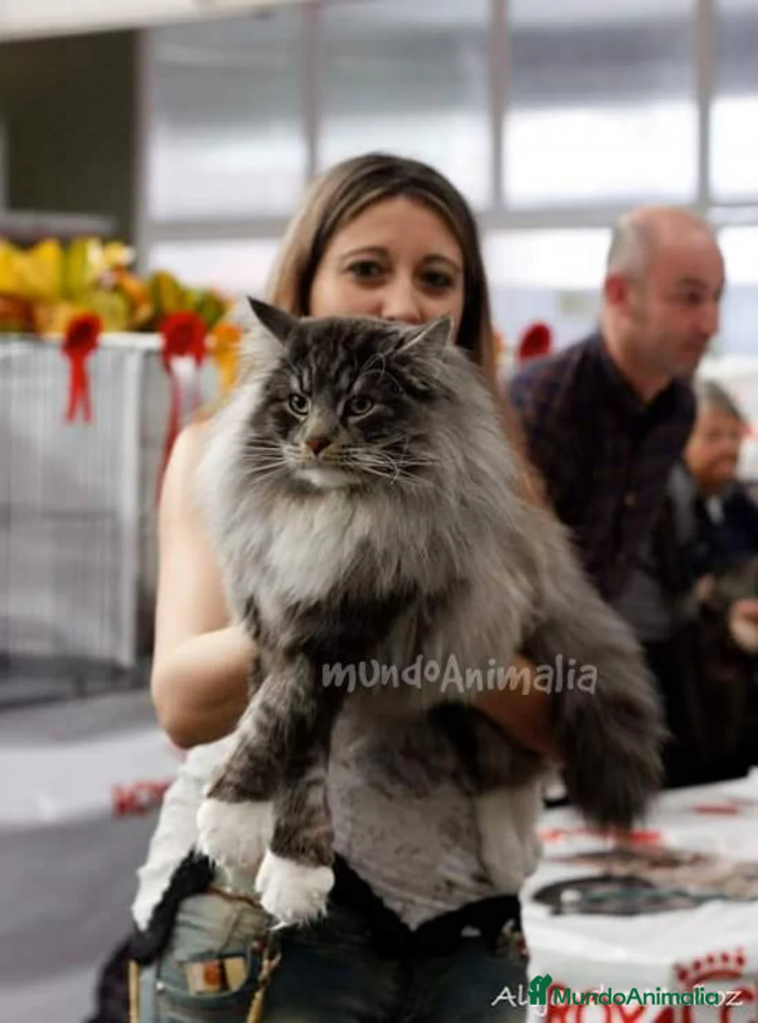 Imagen de galería {{count}}