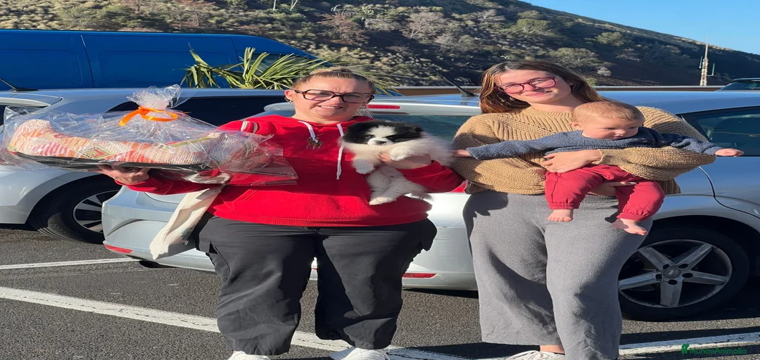 Imagen de galería {{count}}