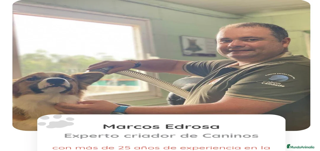 Imagen de galería {{count}}