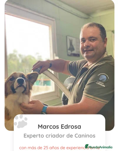 Imagen de galería {{count}}