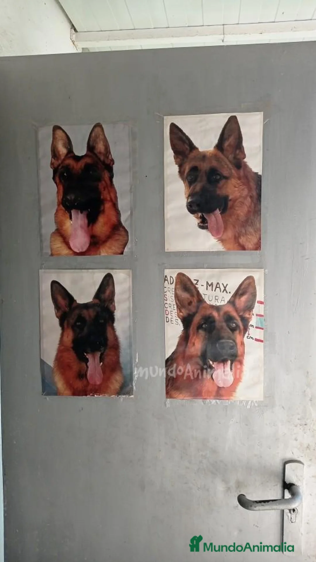 Imagen de galería {{count}}