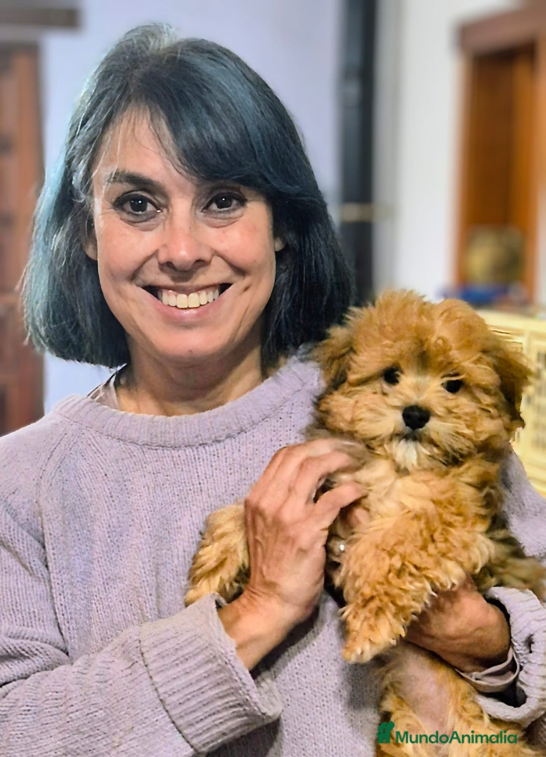 Imagen de galería {{count}}