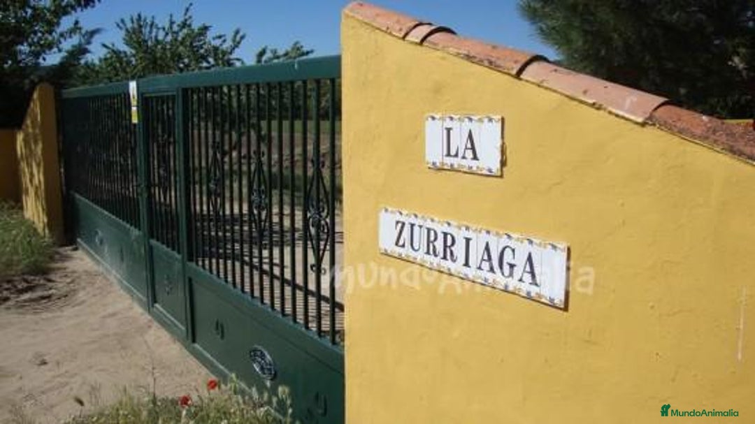 Imagen de galería {{count}}