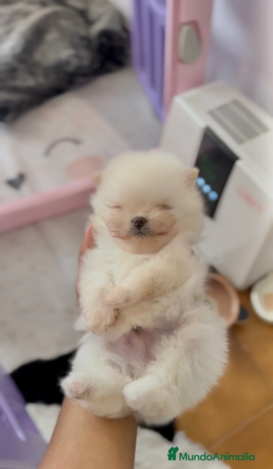 Imagen de galería {{count}}