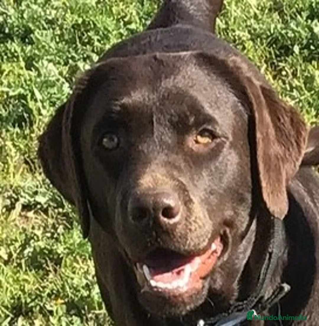 Imagen de galería {{count}}