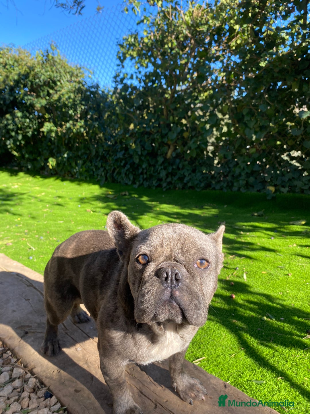 Imagen de galería {{count}}