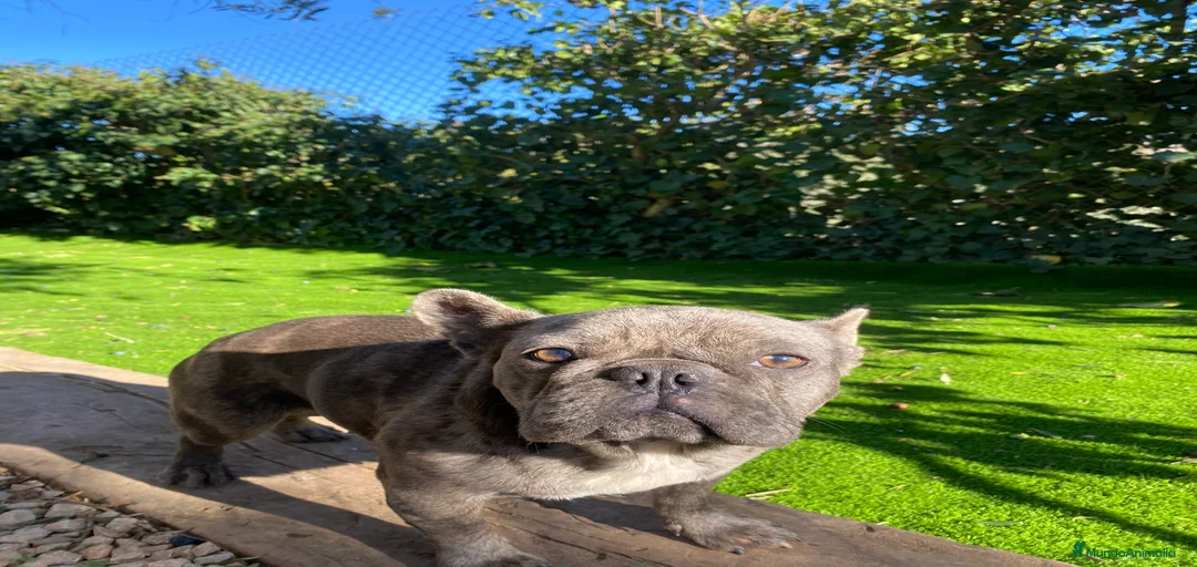 Imagen de galería {{count}}