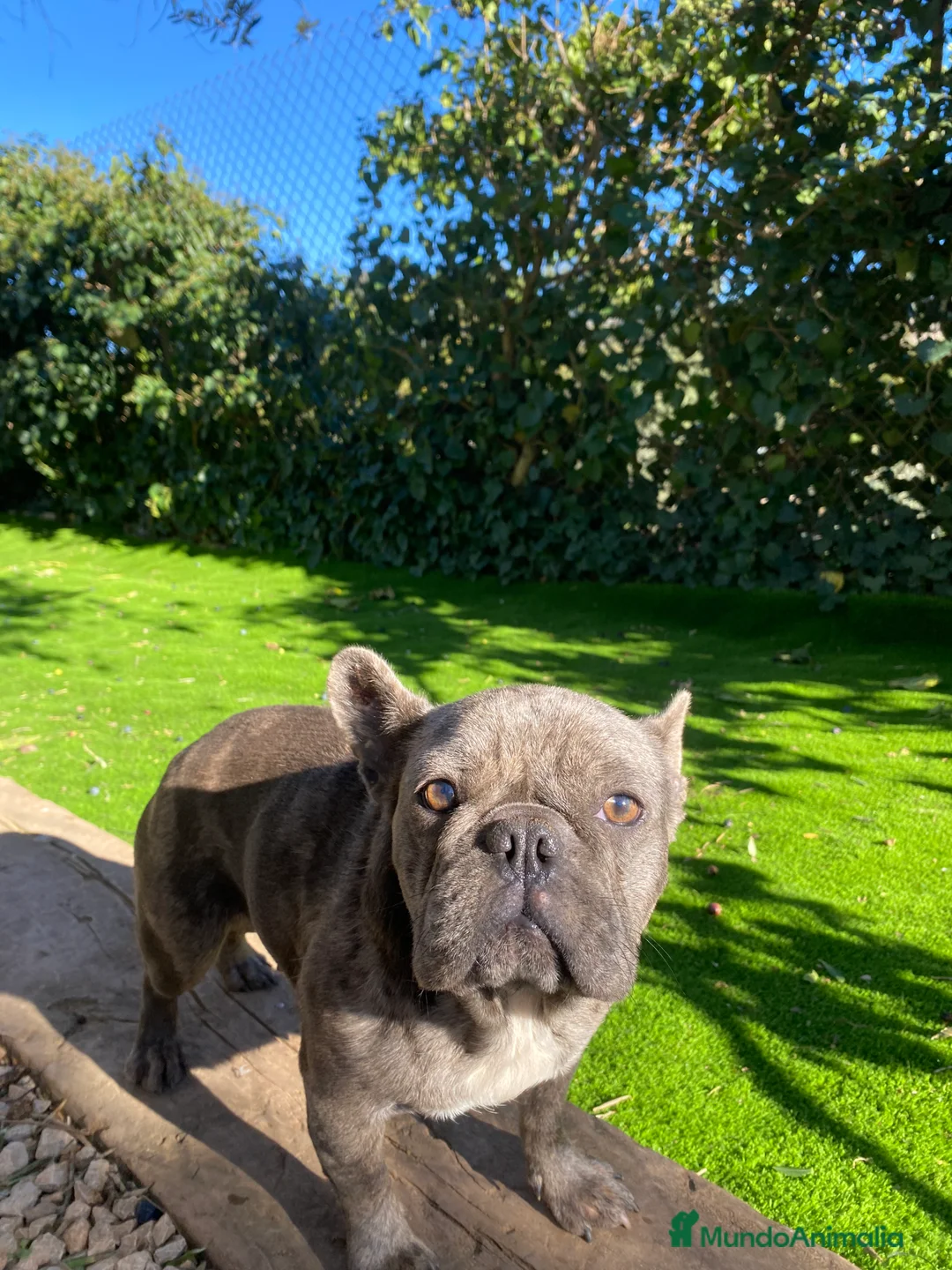 Imagen de galería {{count}}