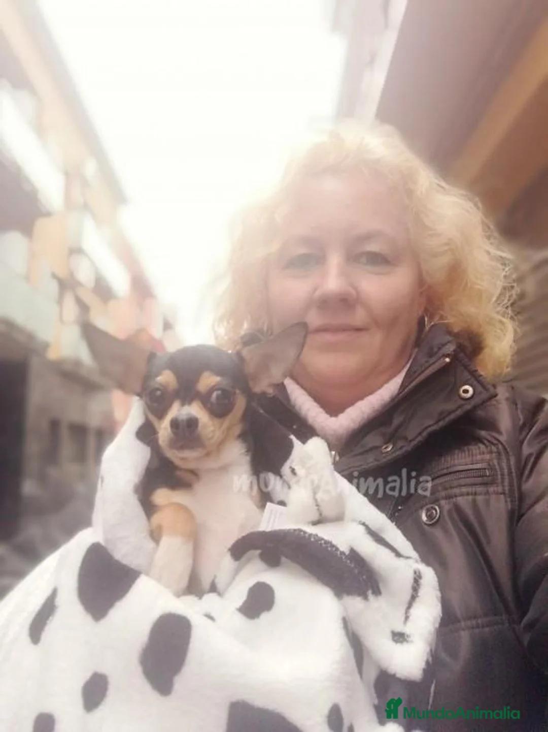 Imagen de galería {{count}}