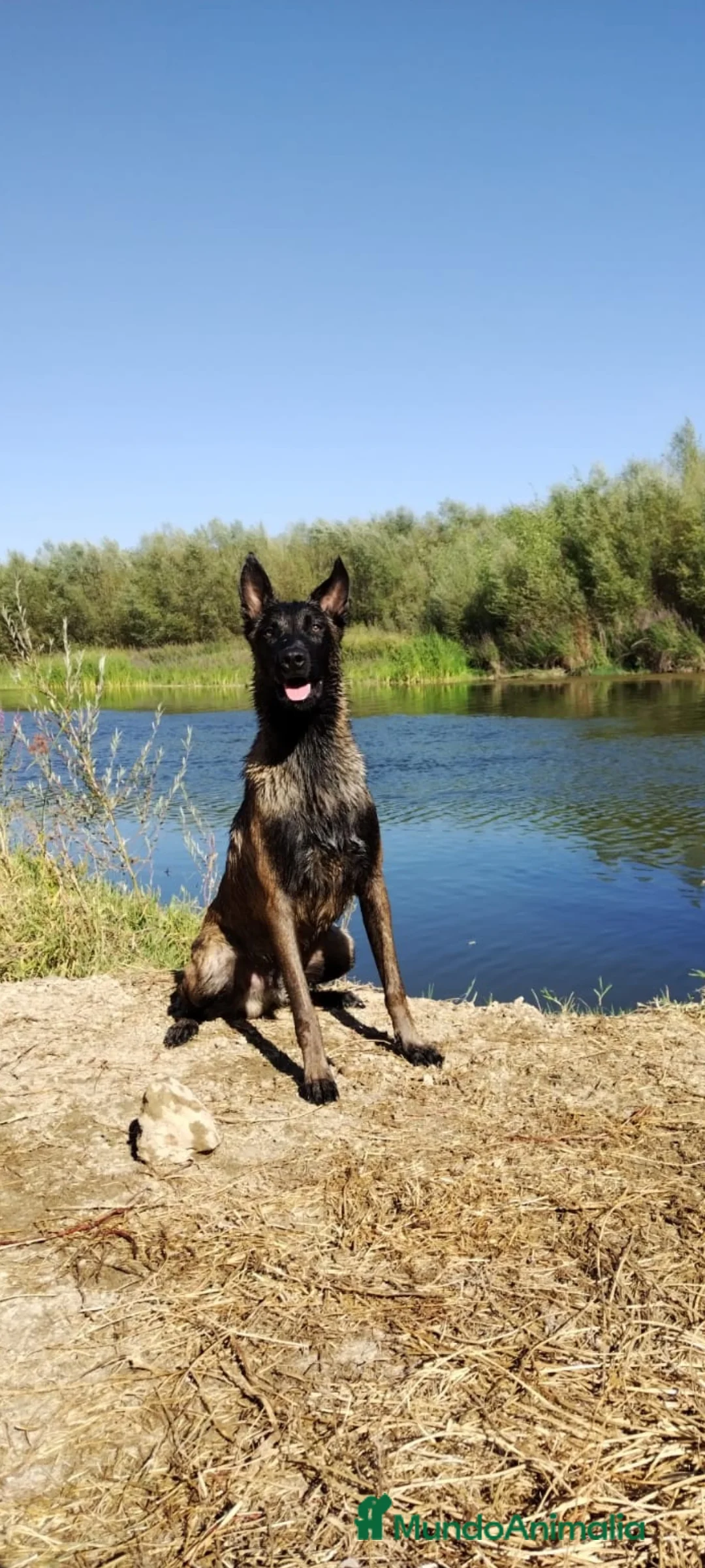 Imagen de galería {{count}}