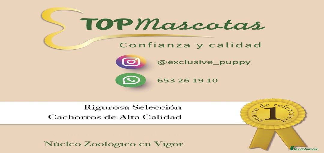 Imagen de galería {{count}}