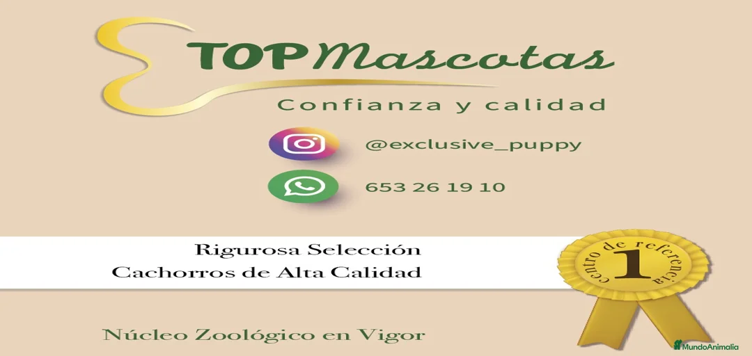 Imagen de galería {{count}}