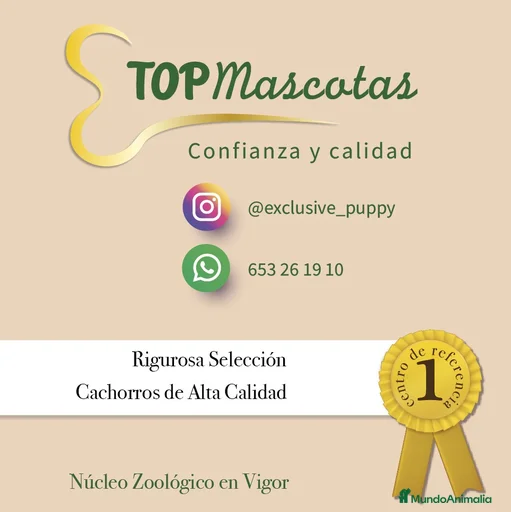 Imagen de galería {{count}}