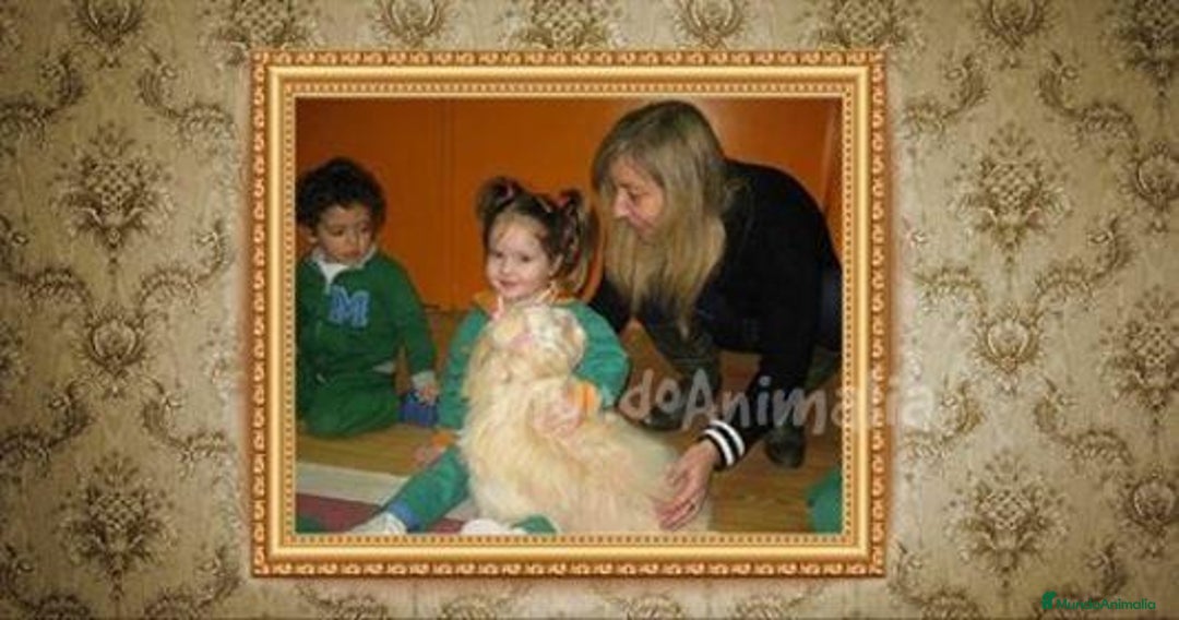 Imagen de galería {{count}}