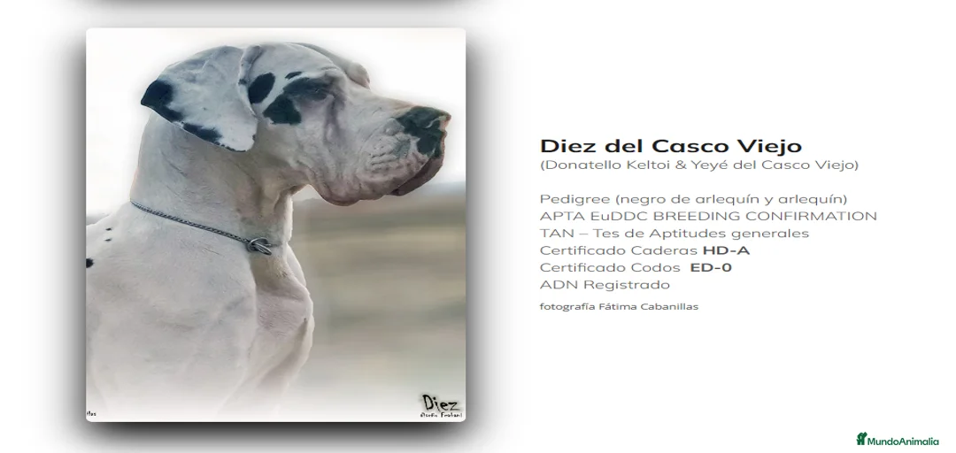 Imagen de galería {{count}}