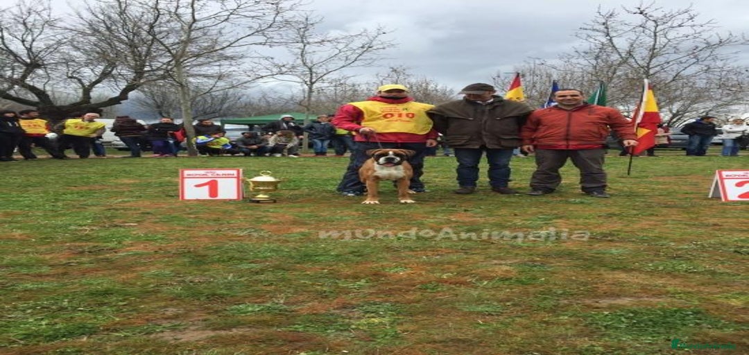 Imagen de galería {{count}}