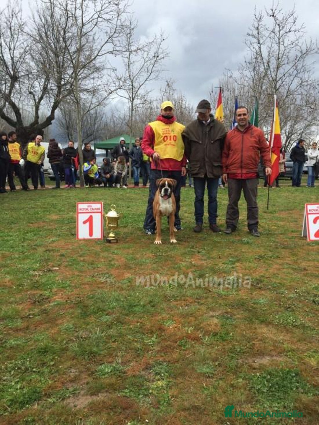 Imagen de galería {{count}}