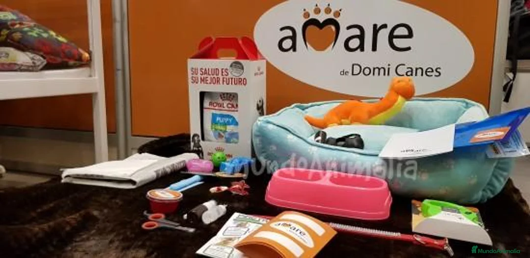 Imagen de galería {{count}}