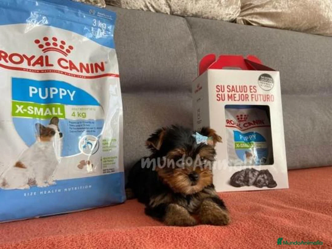 Imagen de galería {{count}}