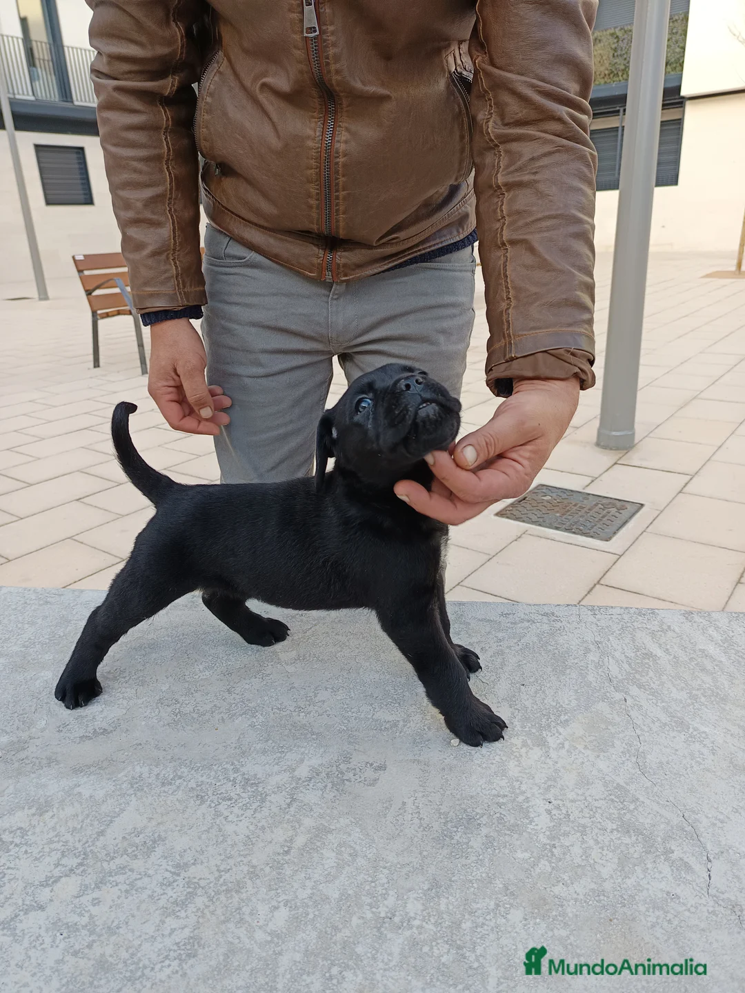 Imagen de galería {{count}}