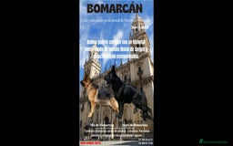 Pastor Alemán perros en venta: hembra de sementales contrastados - Imagen 1
