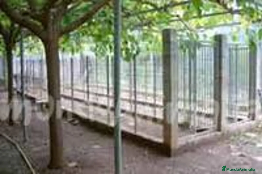 Imagen de galería {{count}}