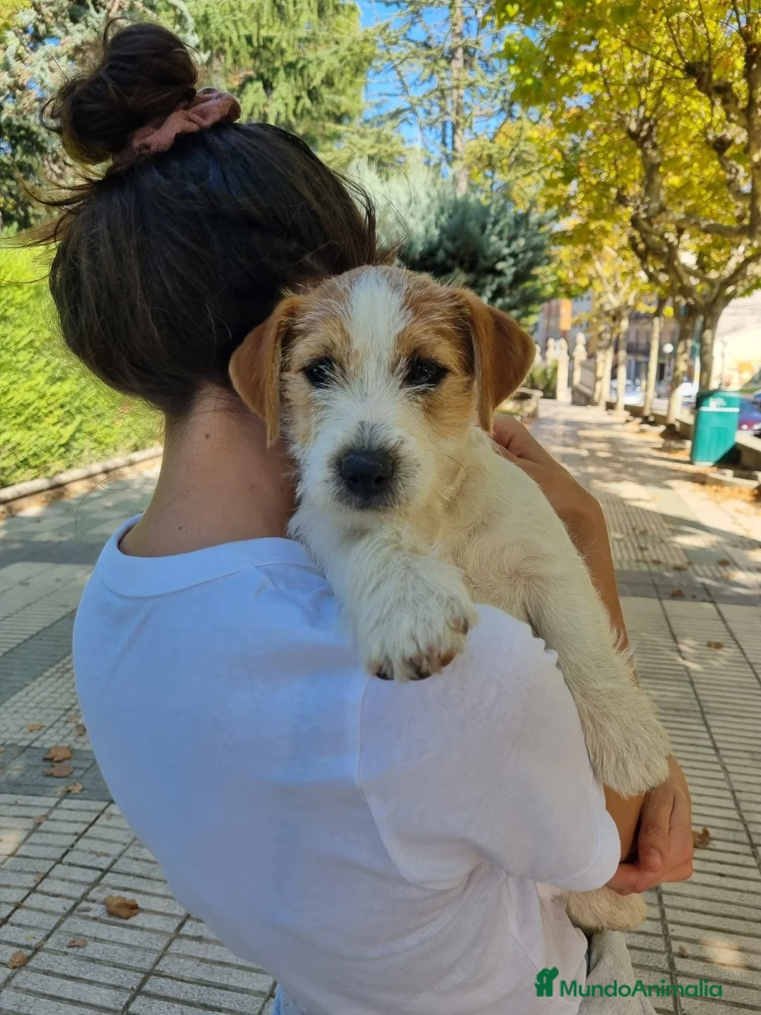 Imagen de galería {{count}}