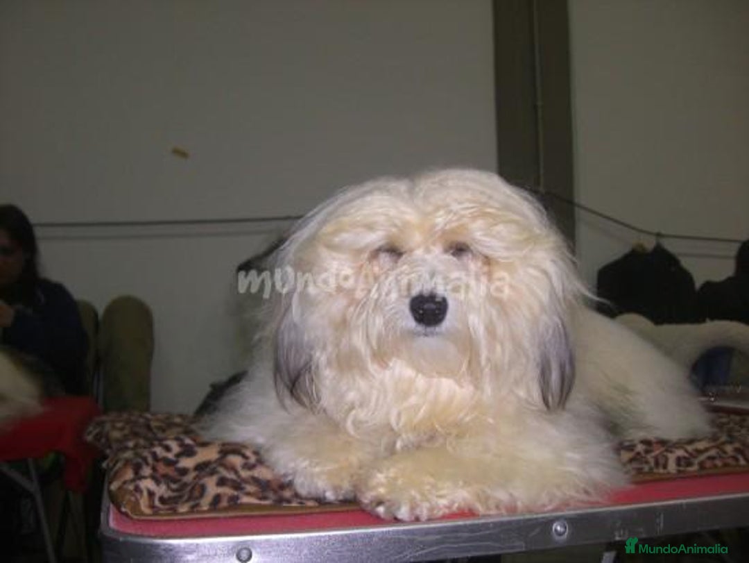 Imagen de galería {{count}}