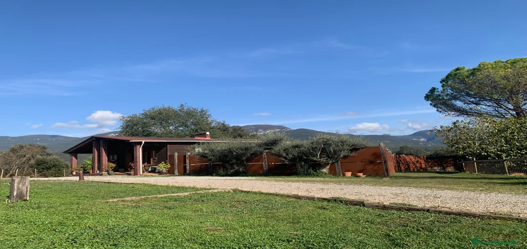 Imagen de galería {{count}}