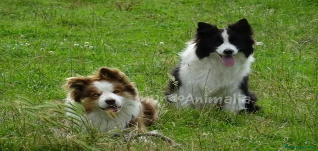 Imagen de galería {{count}}