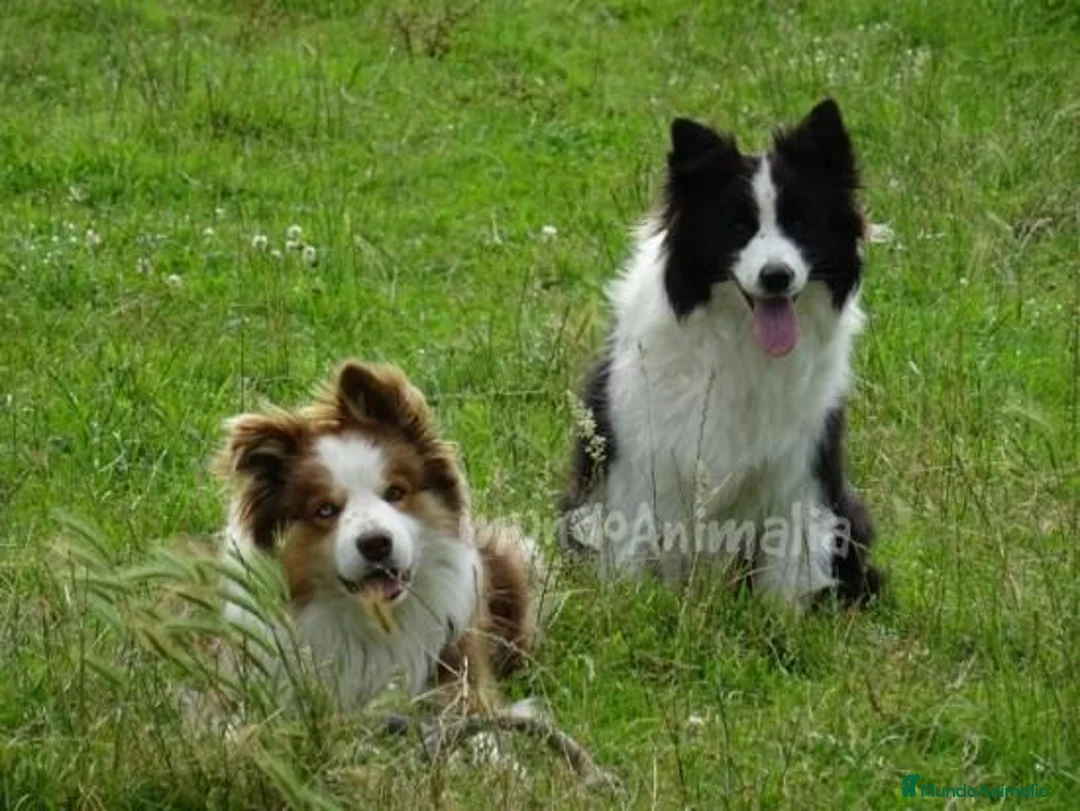 Imagen de galería {{count}}