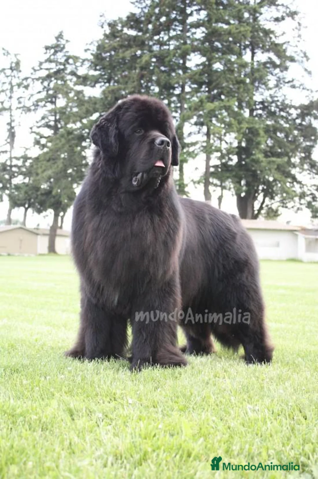 Imagen de galería {{count}}