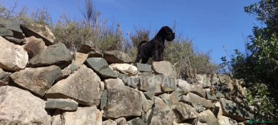 Imagen de galería {{count}}