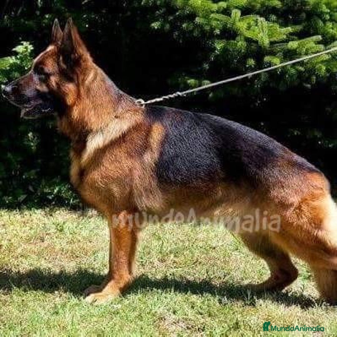 Imagen de galería {{count}}