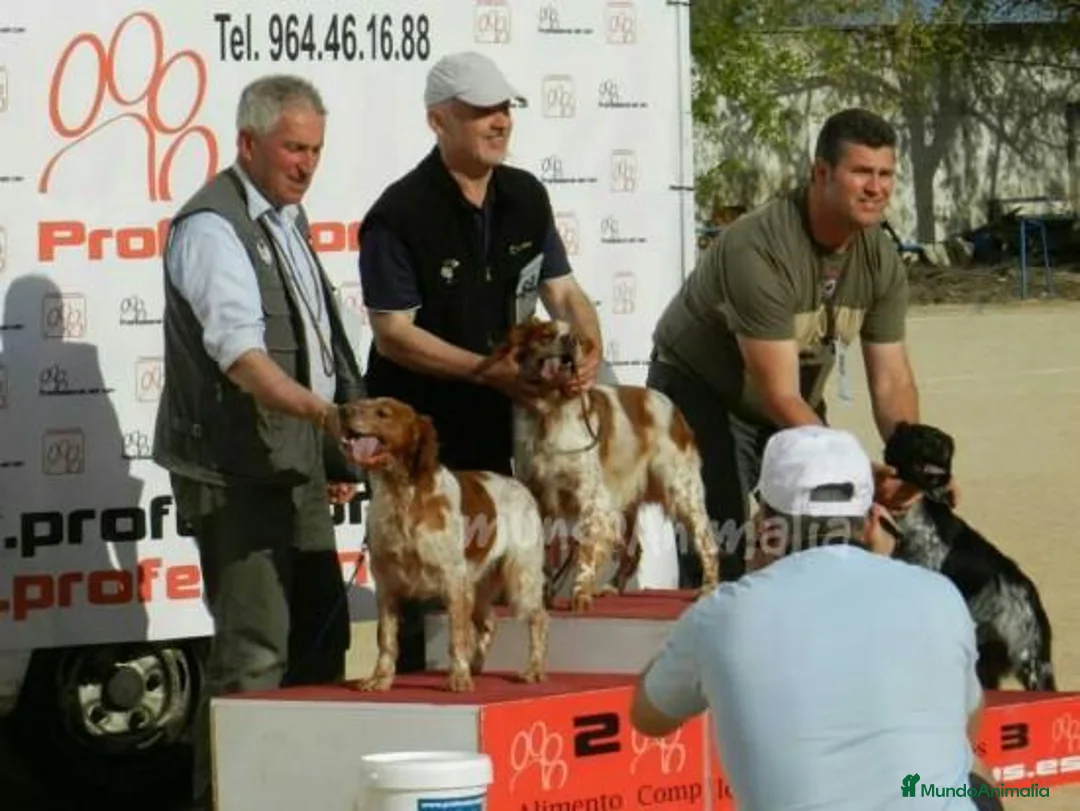 Imagen de galería {{count}}