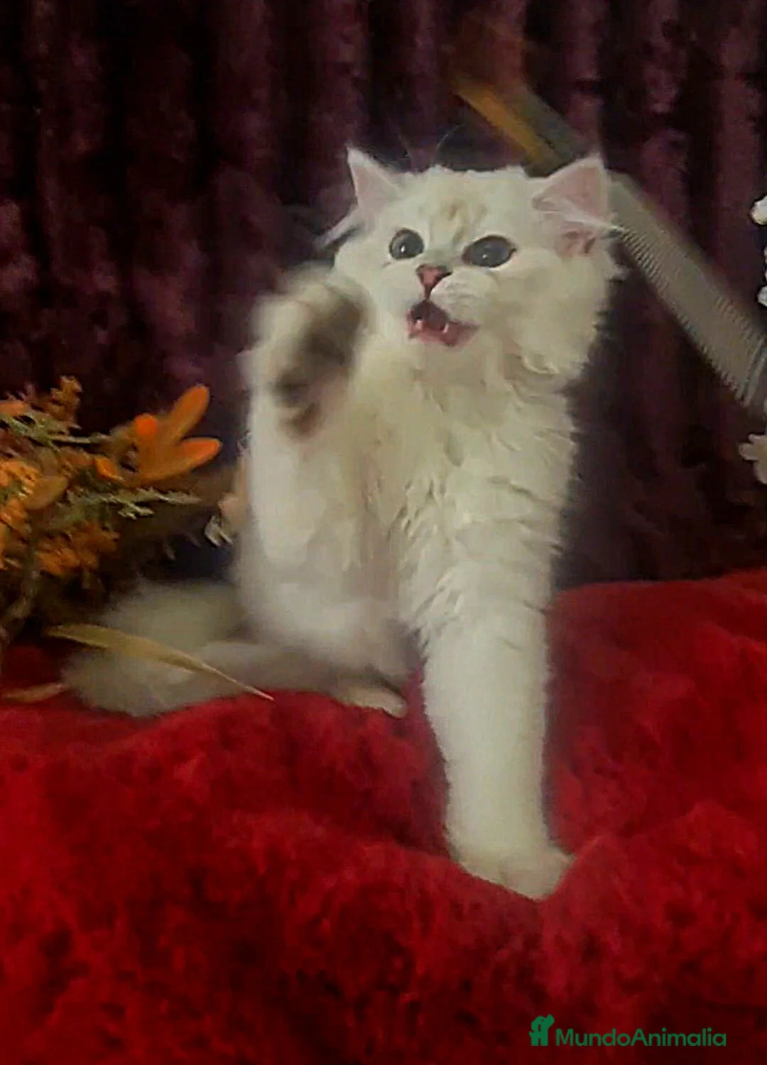 Imagen de galería {{count}}