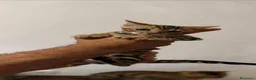 Bengalí gatos en venta: Bengalí 641387649 - Anuncio 1
