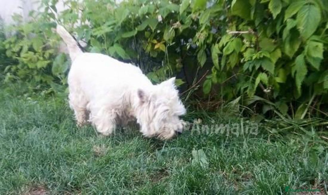 Imagen de galería {{count}}