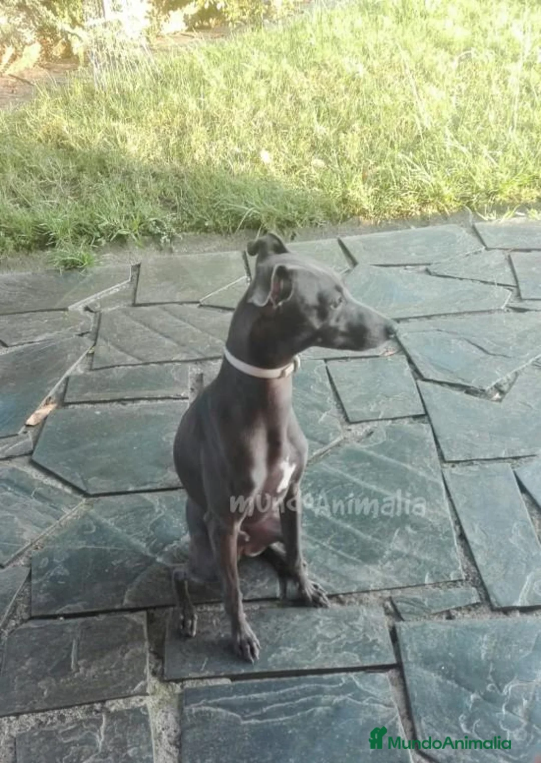 Imagen de galería {{count}}