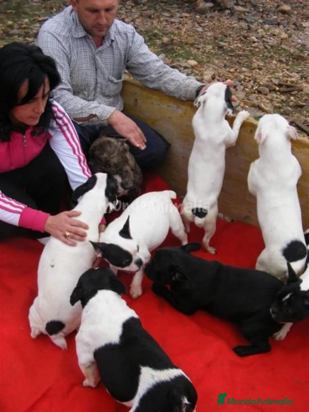 Imagen de galería {{count}}