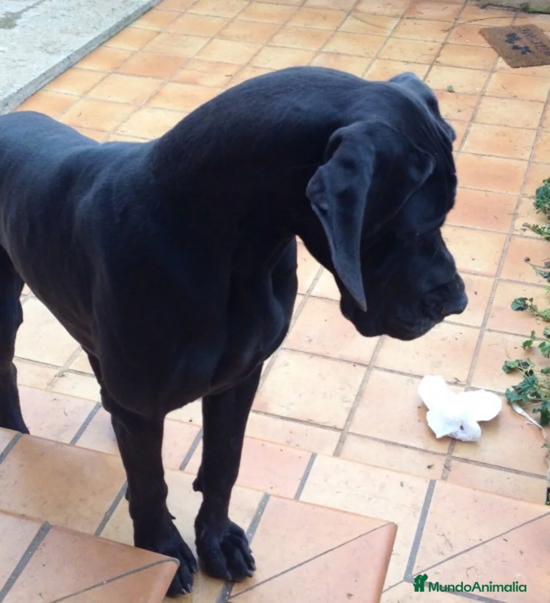 Imagen de galería {{count}}